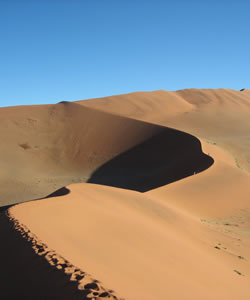 Le dune del deserto